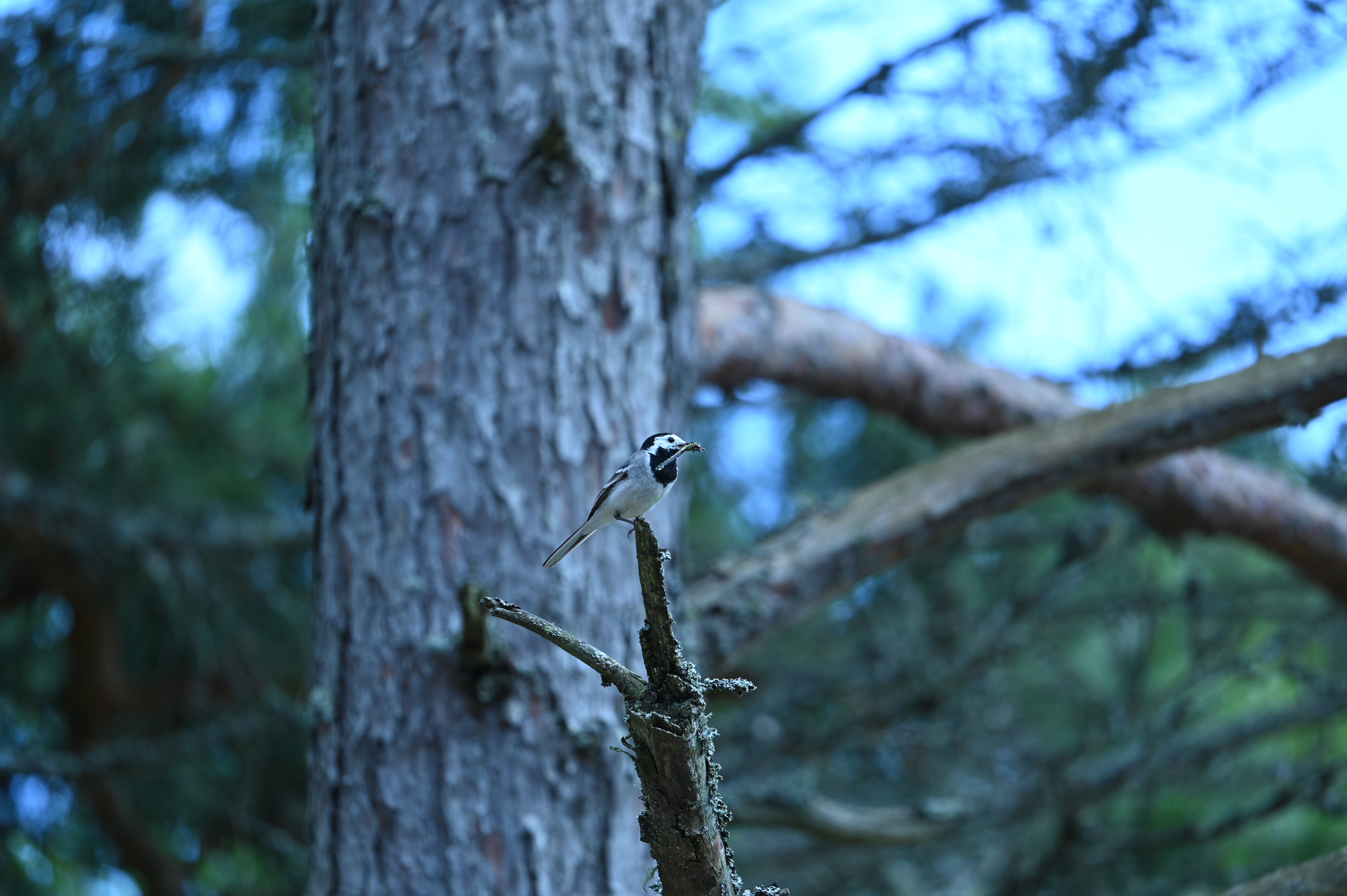 2025/07/09-14 - trip/DSC_0422.JPG